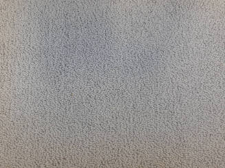 Carpet Sample