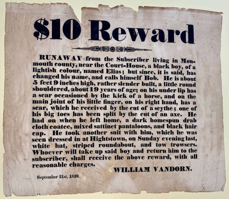 Runaway Slave Ad