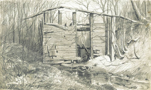 Ruins of an Old Building in the Woods