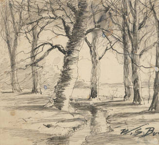 Stream and Trees in Winter