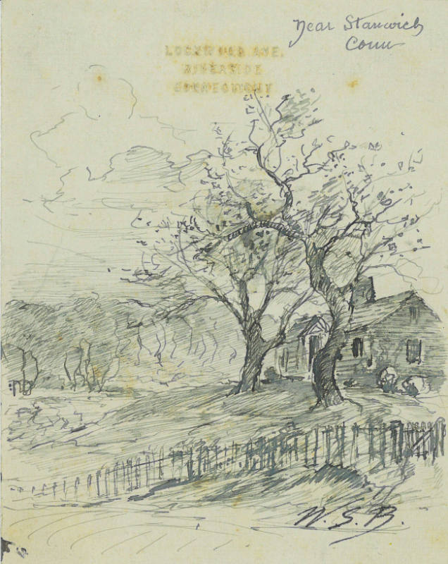 Cottage and Trees Near Stanwick, Connecticut